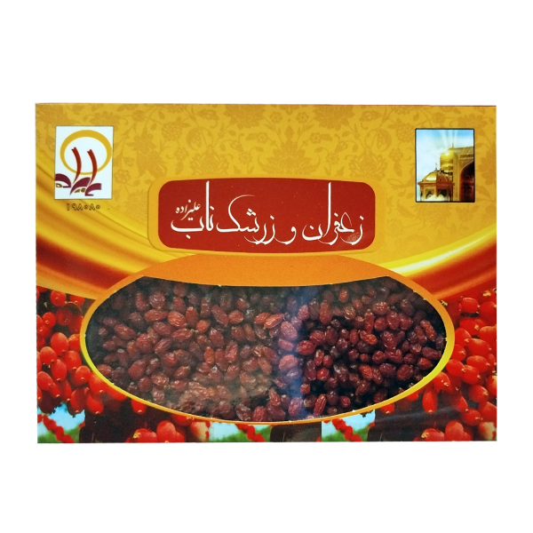 زرشک ناب علیزاده