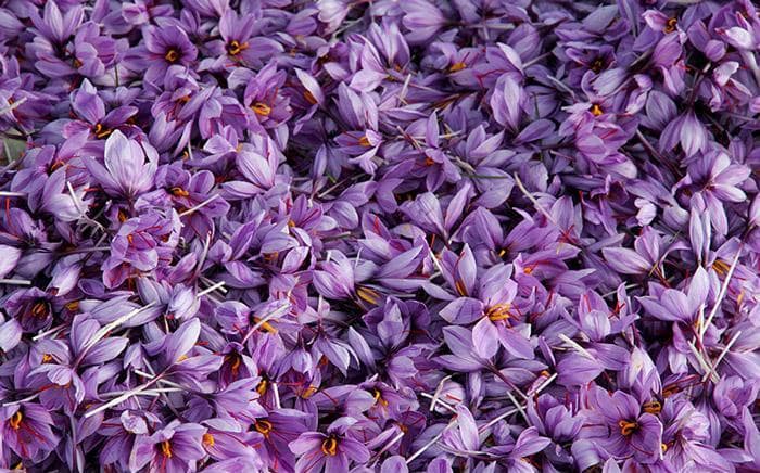 زعفران ناب علیزاده