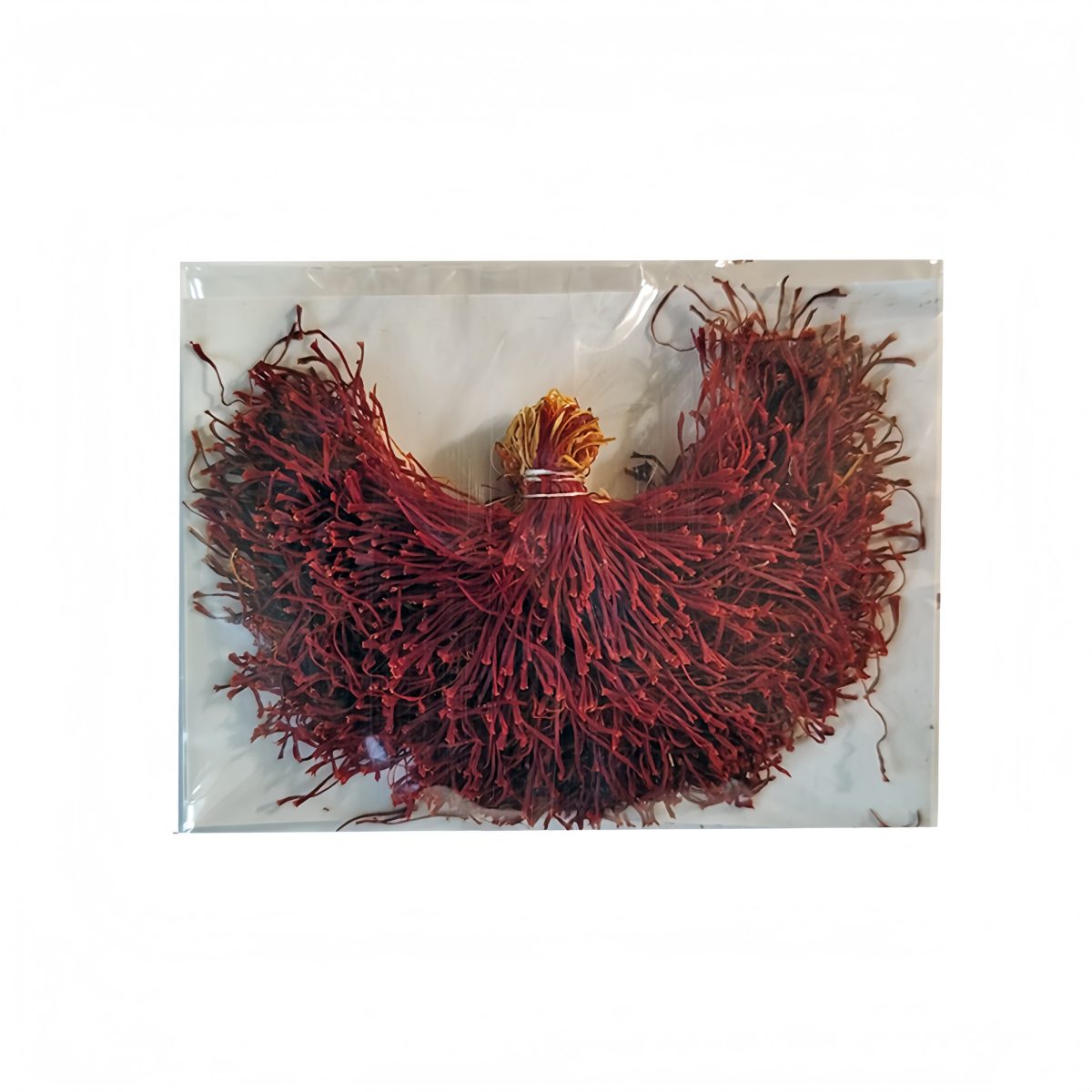 زعفران ریشه دار علیزاده